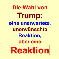 Die Wahl Trumps: eine unerwartete, unerwünschte Reaktion, aber eine Reaktion