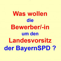 Antworten der Bewerber um den bayerischen SPD-Landesvorsitz