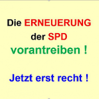 Die Erneuerung der SPD vorantreiben - Jetzt erst recht!